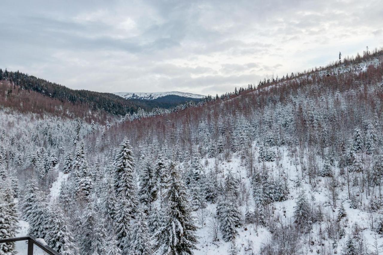 Konopka Forest Home & Spa Boekovel Buitenkant foto